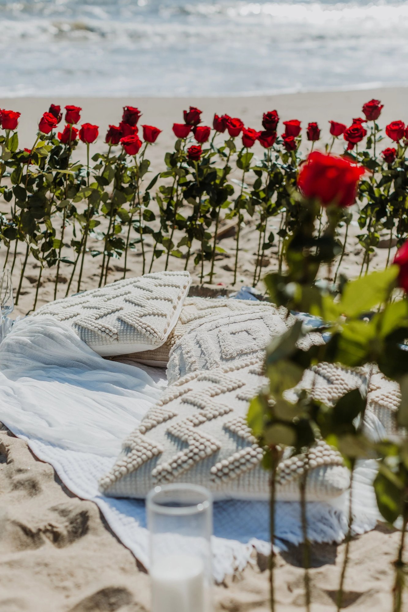 Proposal romantic beach picnic Miami roses candles
